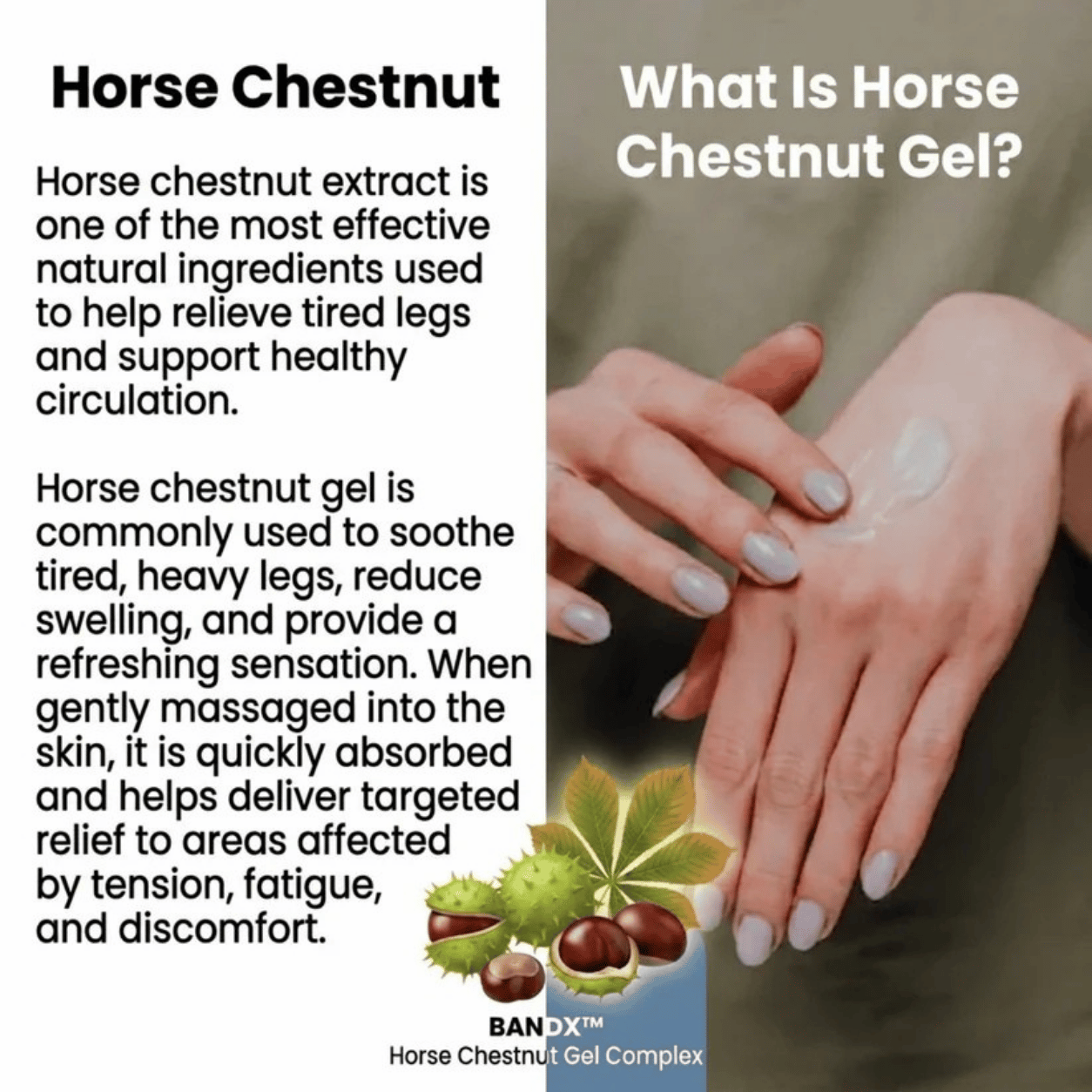 Horse Chestnut Pain Relief Cream