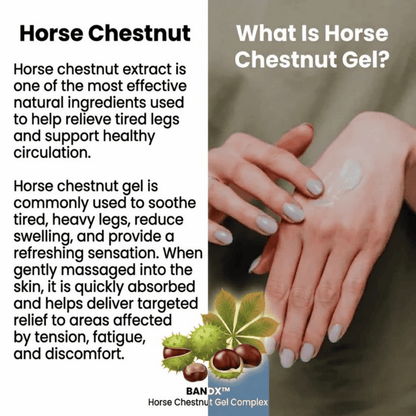 Horse Chestnut Pain Relief Cream